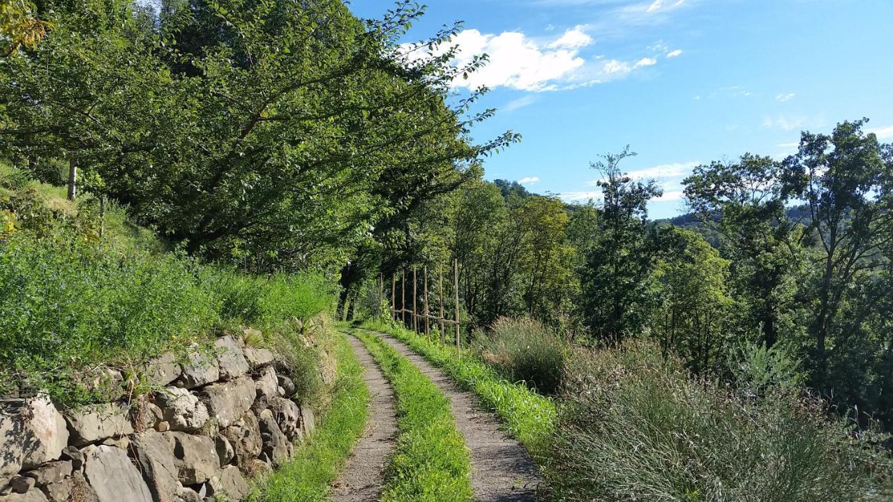 Agriturismo San Genesio Rovagnate Eksteriør billede